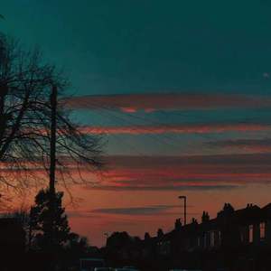 日本一级特黄大片2017放出来
