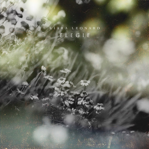 日本一级特黄大片2017放出来
